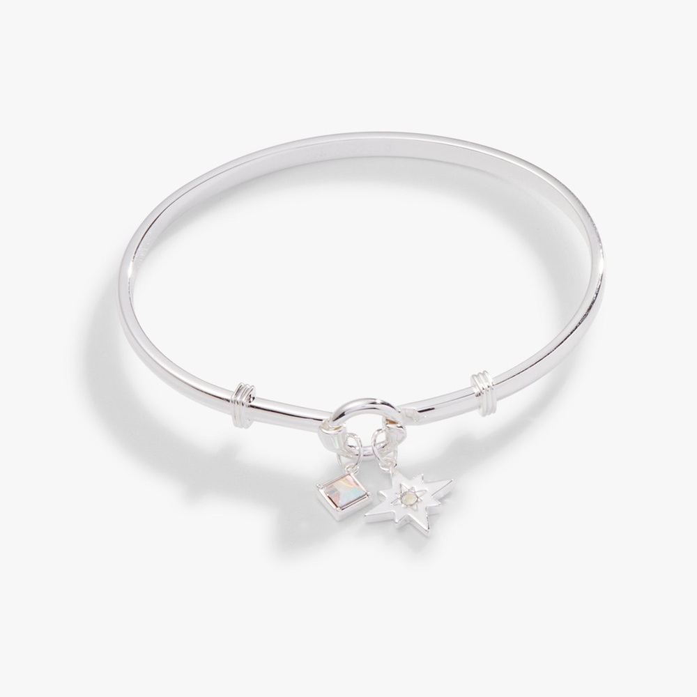 Alex and Ani bracelet New with tag
